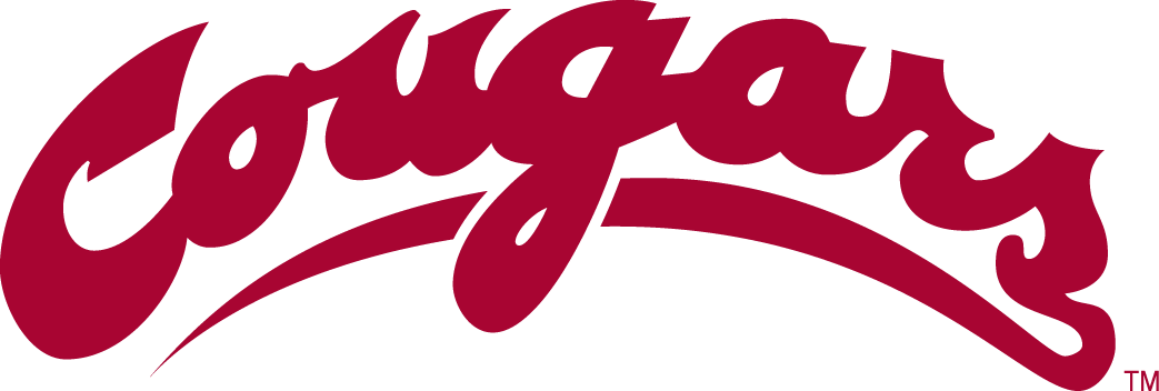 Washington State Cougars 1995-2010 Wordmark Logo diy iron on heat transfer